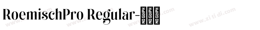 RoemischPro Regular字体转换 RoemischPro Regular字体转换